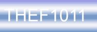 812.014.3A, PETIT THEFT ($100 OR LESS), Tampa criminal defense attorney, THEF1011