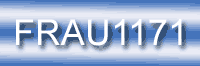  Identity Theft, 817.568.2A, FRAU1171, FRAUDULENT USE OF PERSONAL INFORMATION