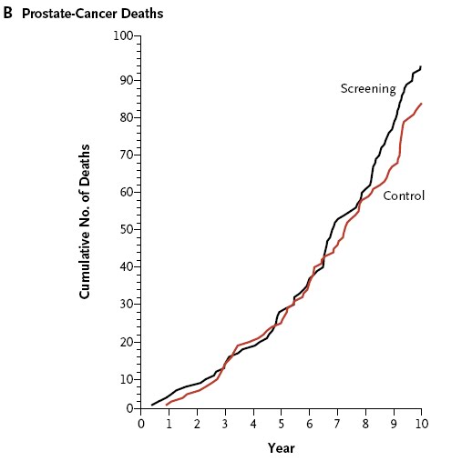 [Nova+Imagem+(1).bmp]