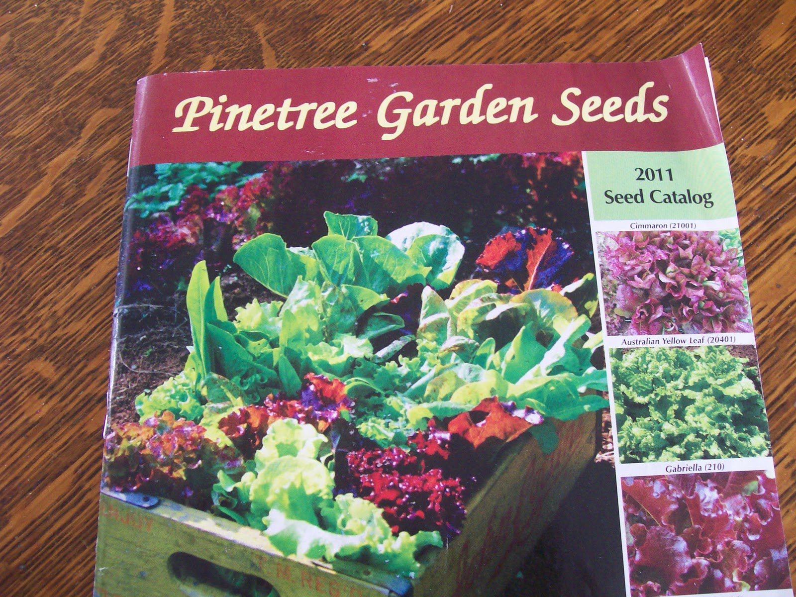 Planting with a Purpose Seeds, seeds, seeds.......