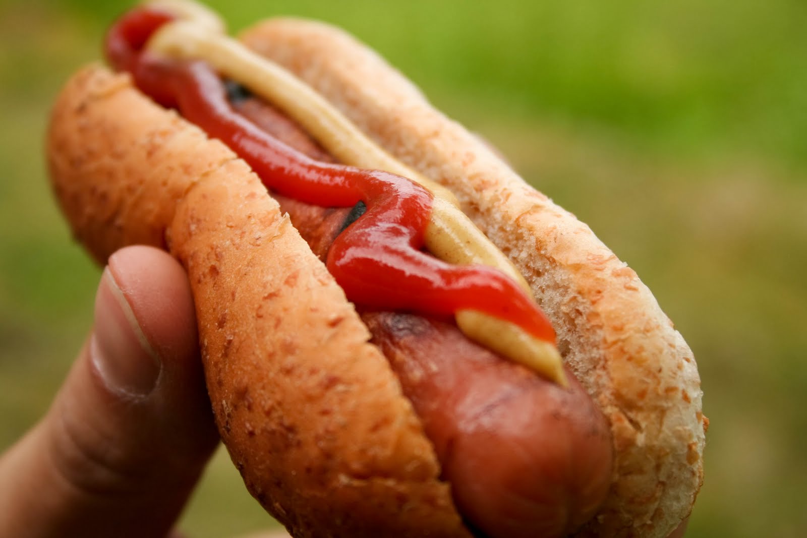 [gratisbilder-080324-141.jpg]