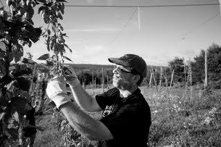 [Greg+Nash_field+picking.jpg]
