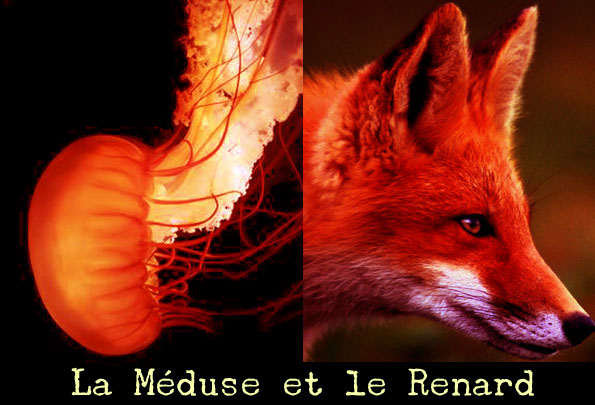 La Méduse et le Renard