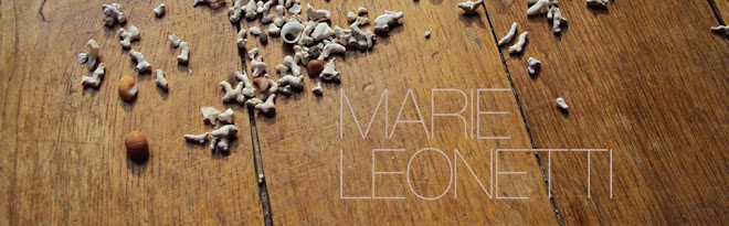 le blog de Marie Leonetti