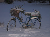 cykel i vinterskrud