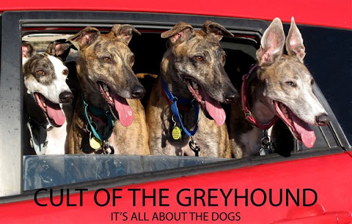 Cult of the Greyhound