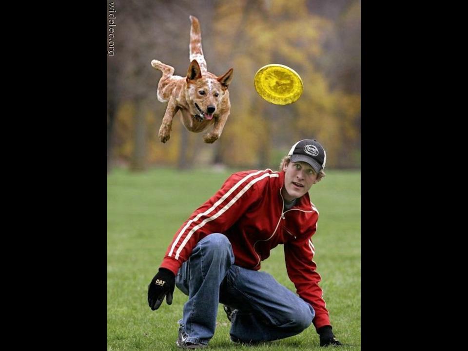 Fun Stuff Catch The Moment