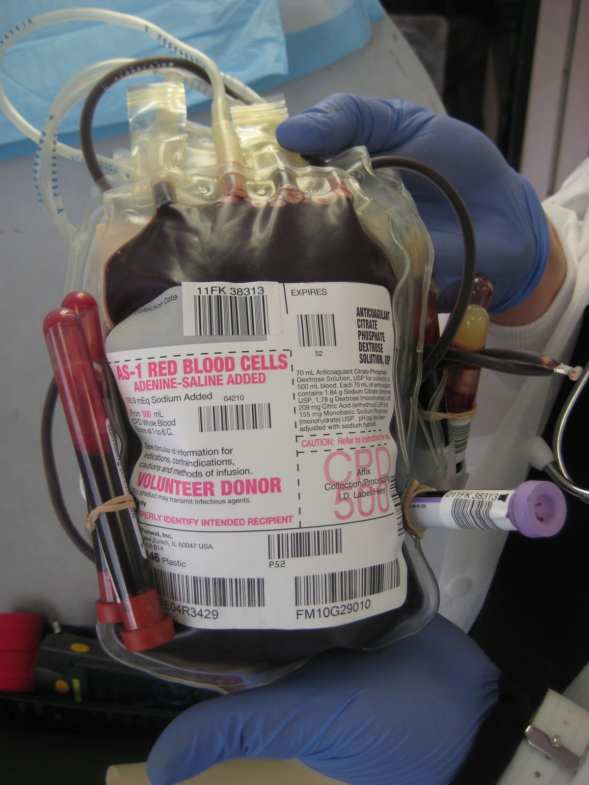 Please Pass The Morals Day 66 A Pint of Blood