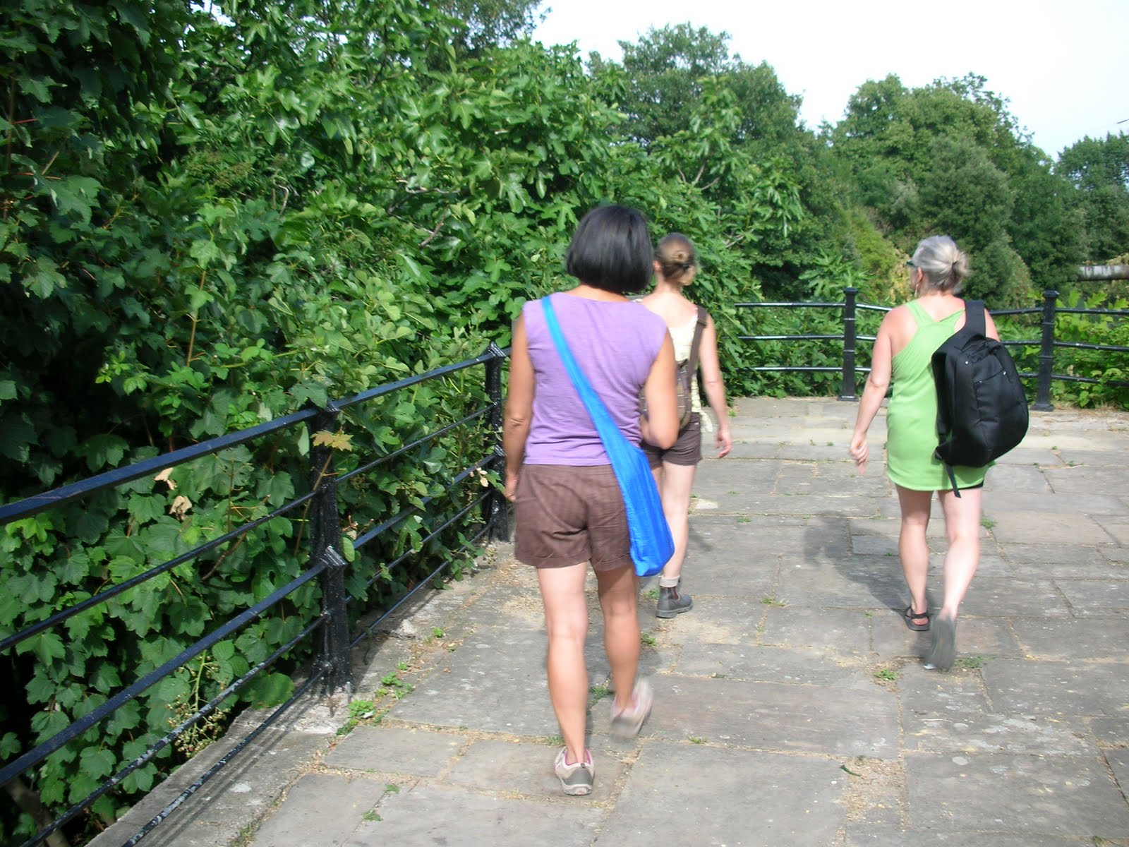rivercities Walthamstow reservoirs, Middlesex filter beds, July 2010