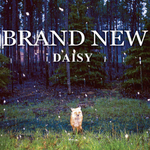 Песня brand new. Brand New Daisy. Brand New. Группа brand New. Brand New information.