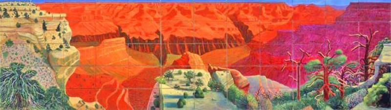 Liv Passion Fritid Grand Canyon And David Hockney