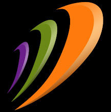 Spinnaker Logo
