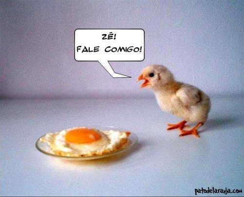 [engracadas-12962.jpg]