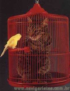 [!cid_12_2123583562@web112320_mail_gq1_yahoo.jpg]