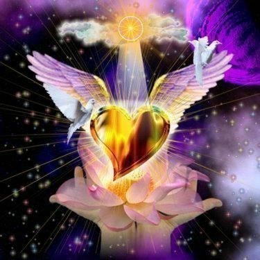 [8900997d11e25ed09c5e36doh7.jpg]