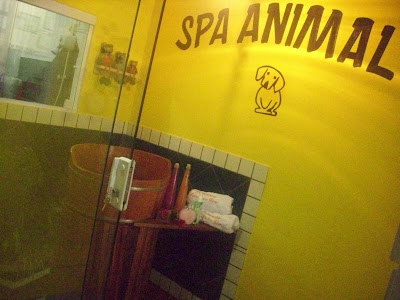 Hidroterapia- Banho de Ôfuro para cães e gatos
