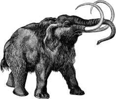 [Mammoth[1].png]