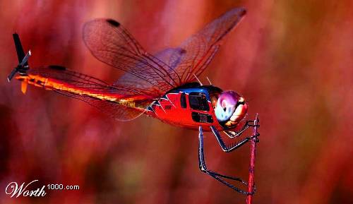 [201032EJMI_w[1].jpg]