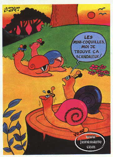 [mini_coquilles[1].gif]