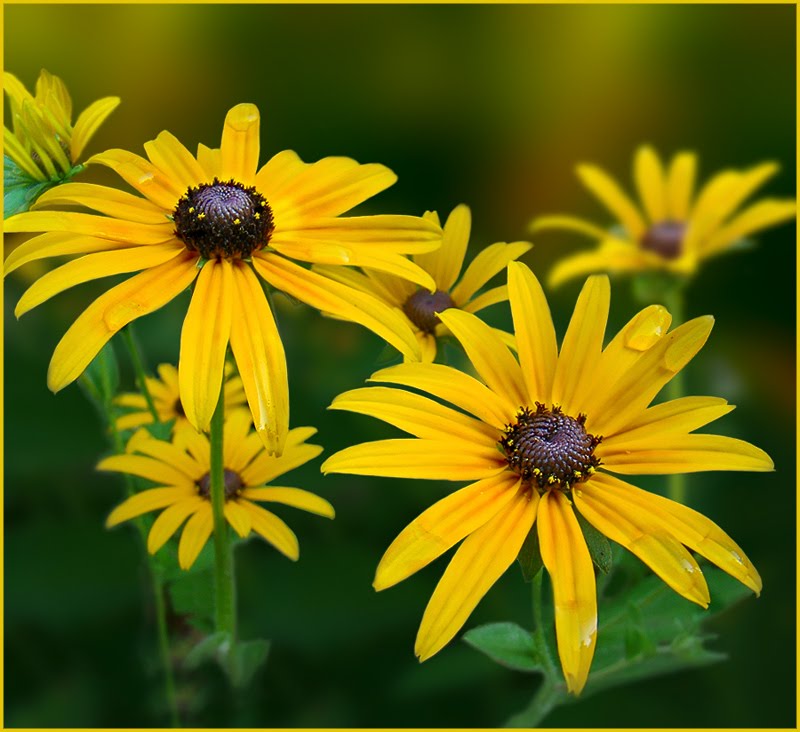 [3597114_large.jpeg]