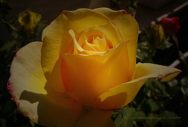 [Golden_Slumbers_by_creativemikey.jpg]