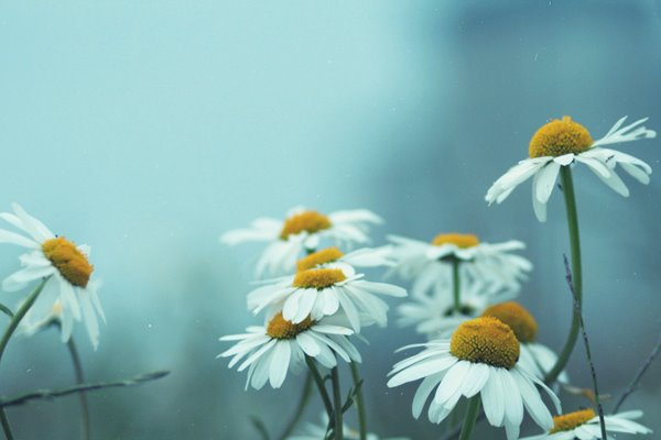 [bc11908fe3418207f8b63cbbb0135124.jpg]