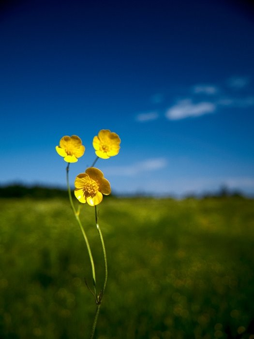 [3281872_large.jpg]