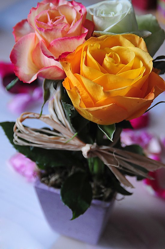 [present_by_ChapaJane.jpg]