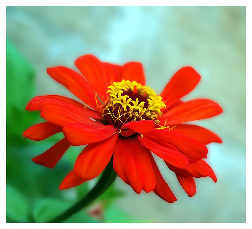 [3395781_large.jpeg]