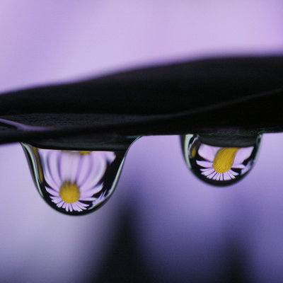 [Aster_II_by_chriskaula.jpg]