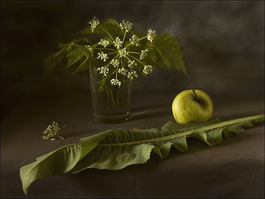 [3536462_large.jpeg]