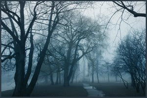 arboles en neblina de parque fantasma