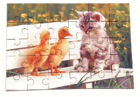 [puzzle.jpg]