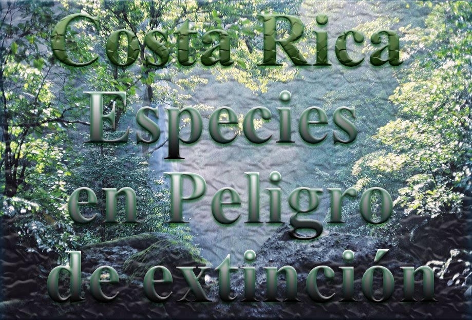 Animales en Extincion en America Conocelos para - imagenes animales en extincion