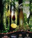 Rainforest World Music Festival