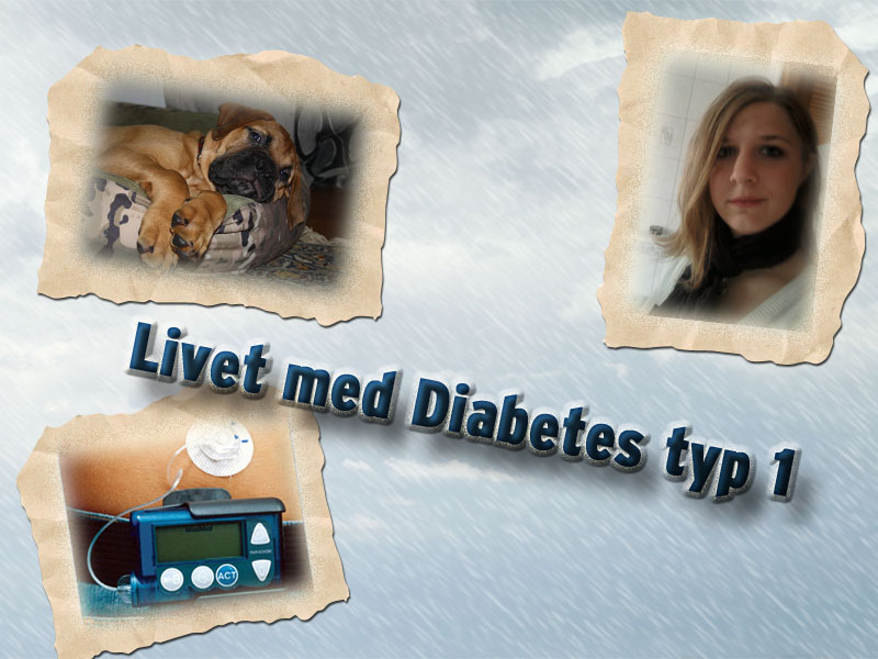 livet med diabetes typ1