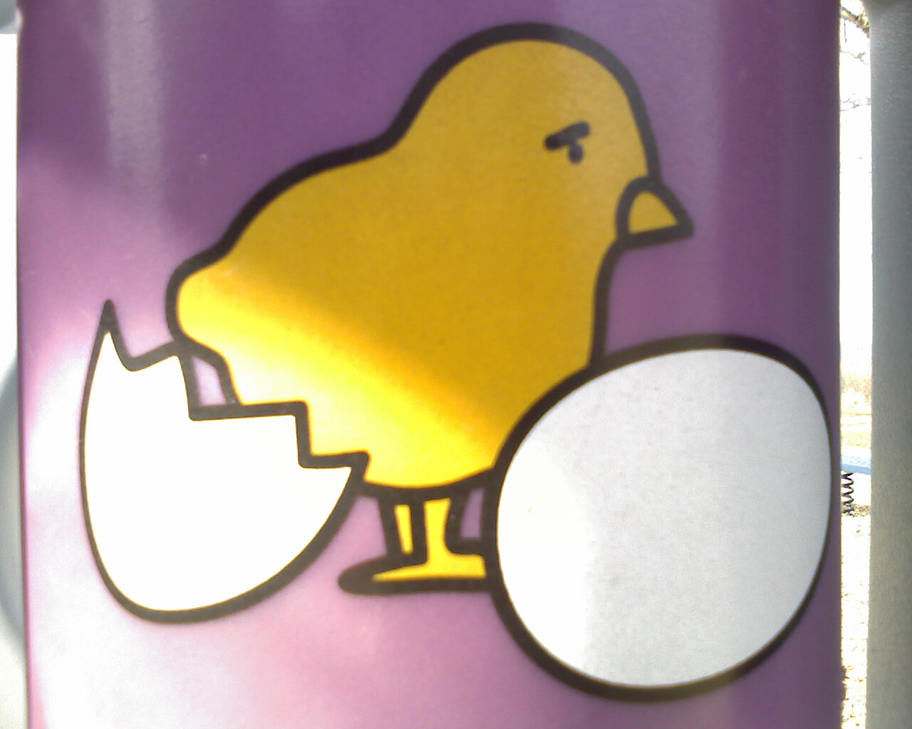 [IMAGE_227-788776.jpg]