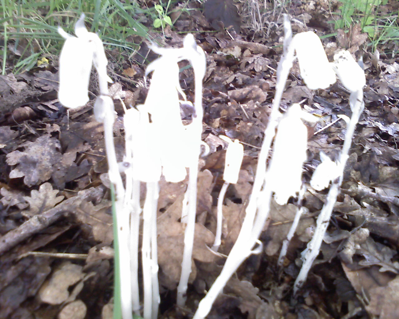 [IMAGE_080-768248.jpg]