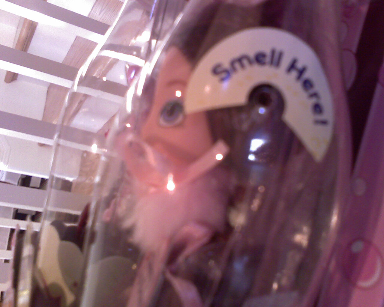 [IMAGE_577-796279.jpg]