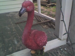 [Photo_041309_005-717102.jpg]