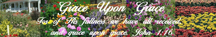 Grace Upon Grace