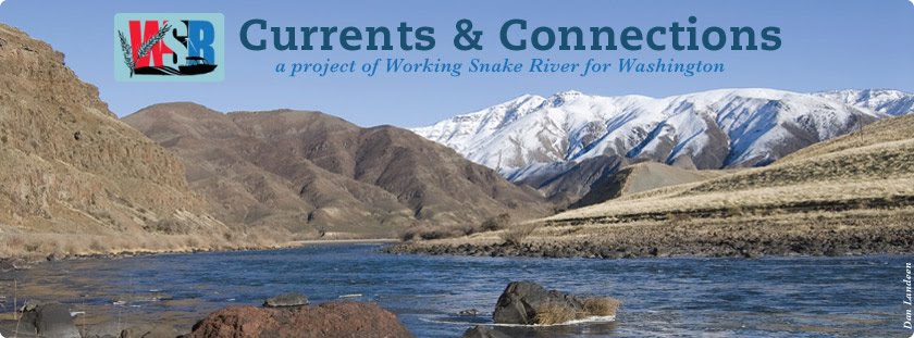 Working Snake River for Washington