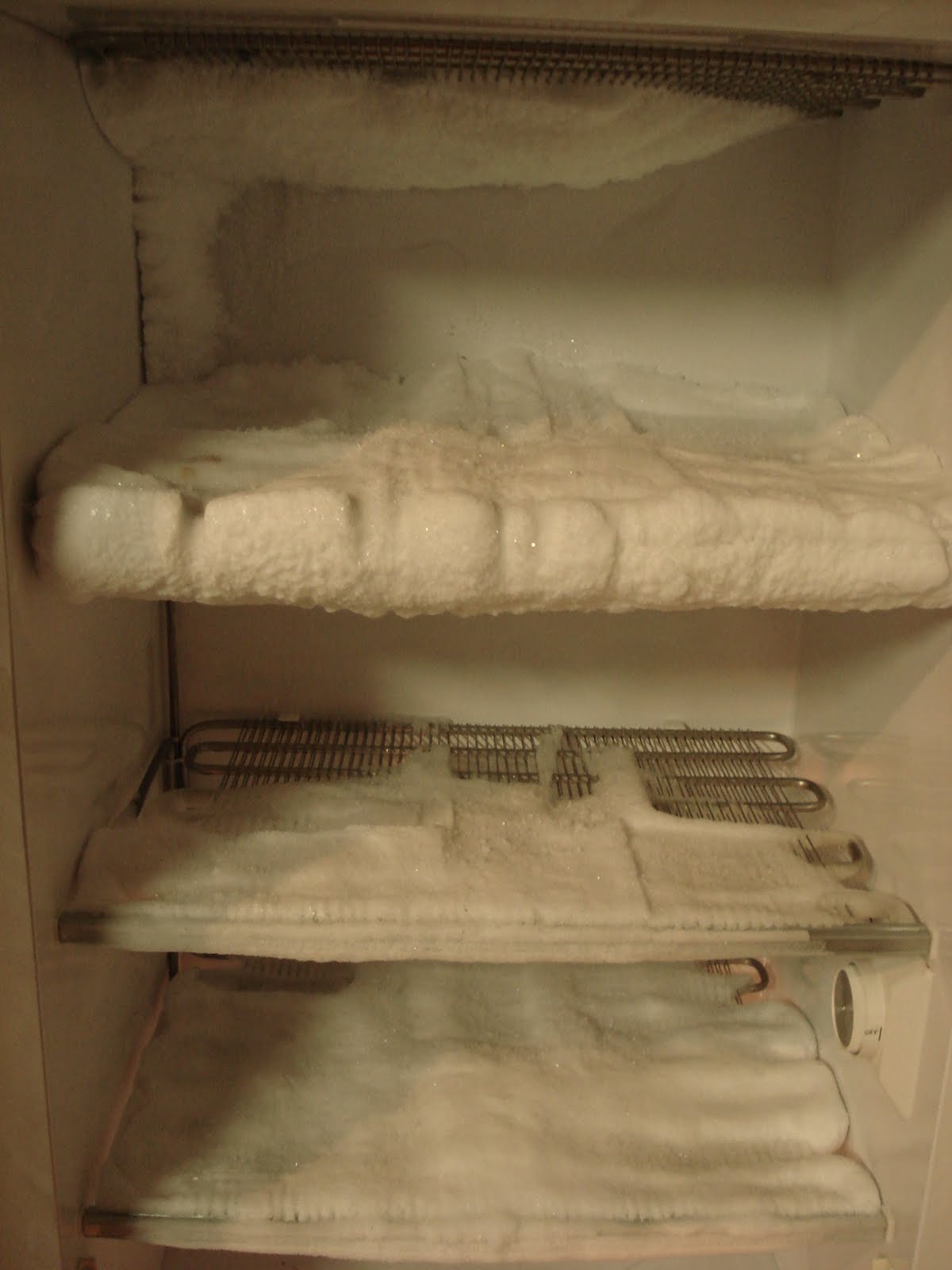 Frugality in the Hudson Valley Wednesday Tip DayDefrosting Your