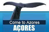 Come and meet the Azores!