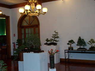 CLUB PERUANO DE BONSAI