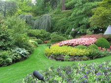 Butchart Gardens in Victoria