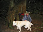Bud Oracle and his White Wolf
