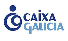 Contas de Caixa Galicia de 2008, (as que dan eles)