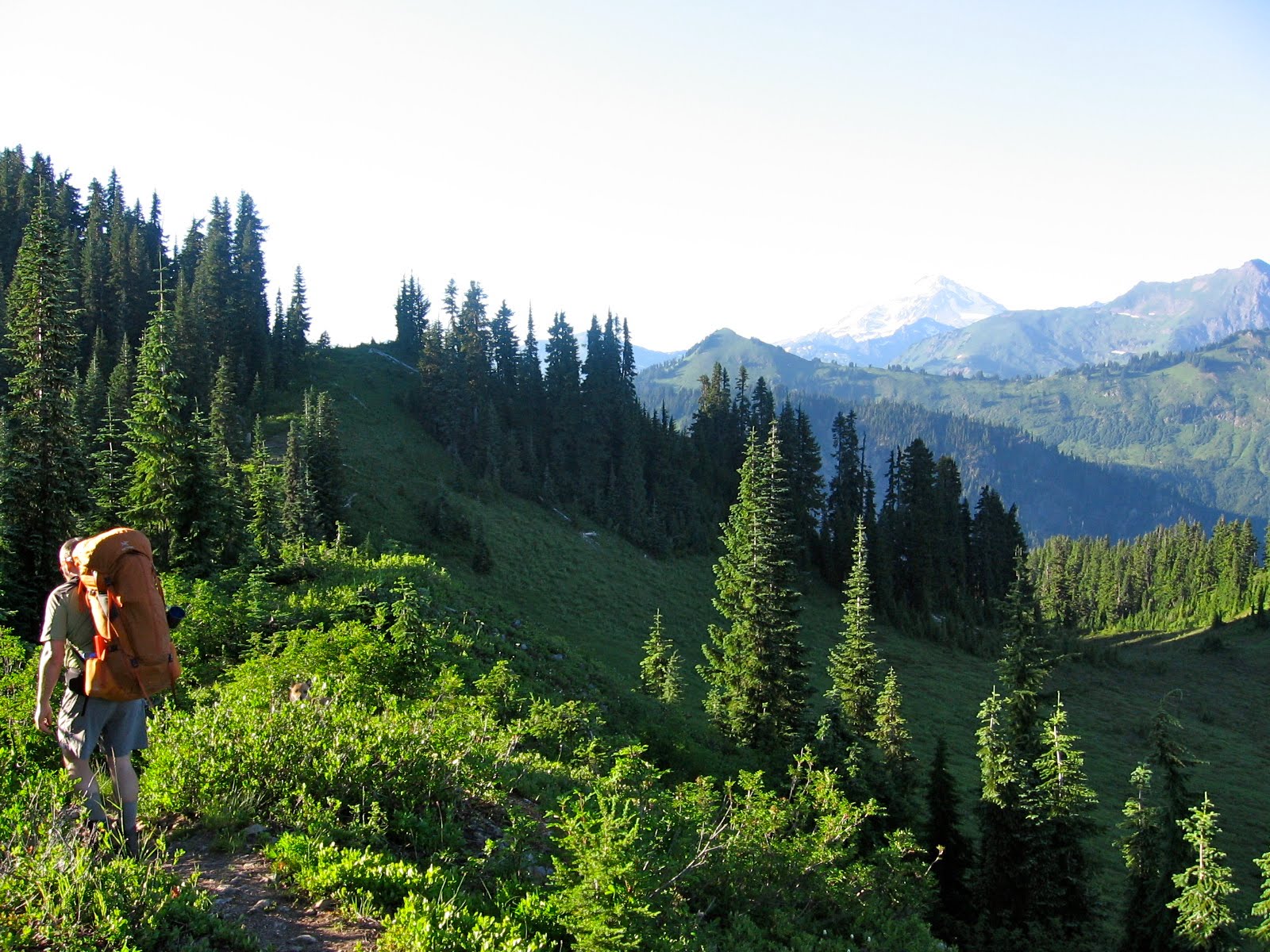 the flying squirrel: Meander Meadow - Kodak Peak - Indian Pass