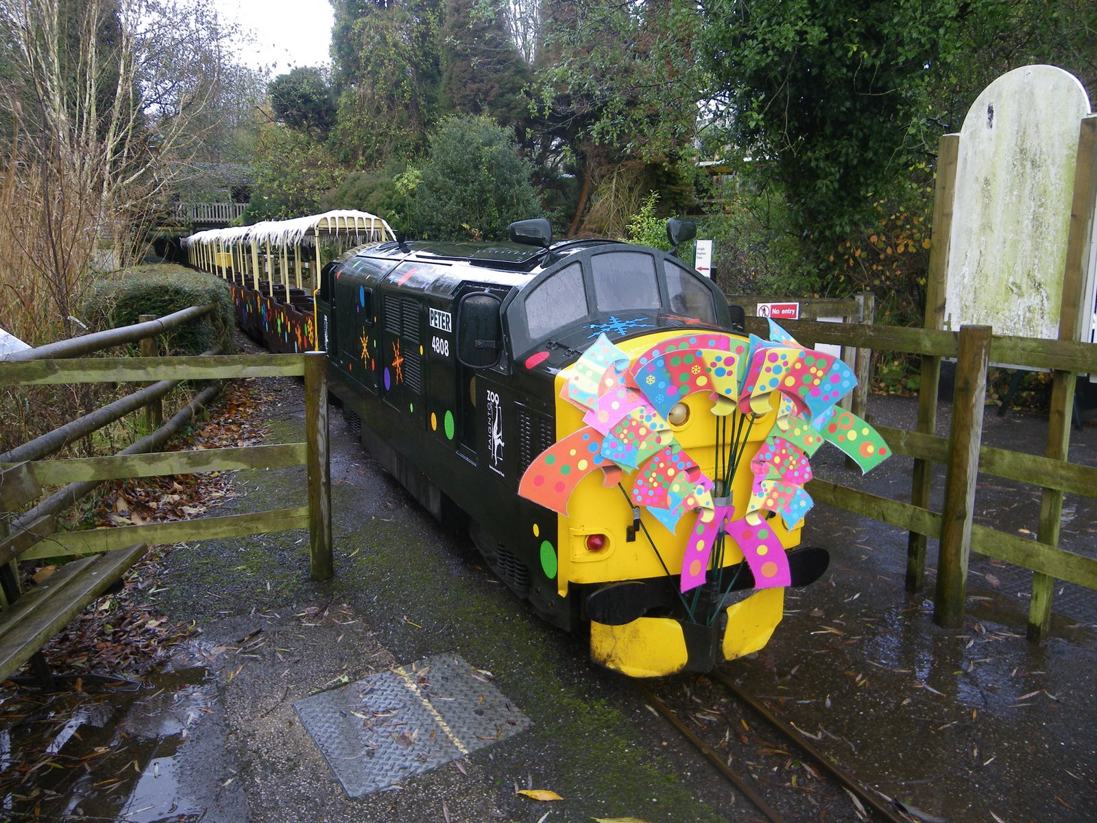 Rail Thing Friends of the S&D November 2009